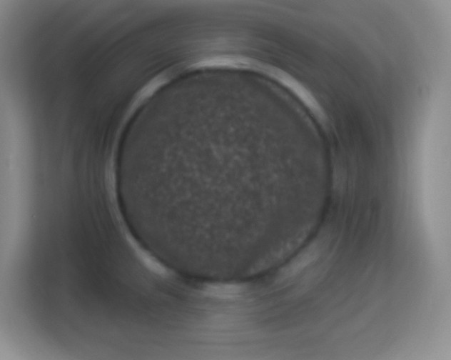 X0000113941237200910091616