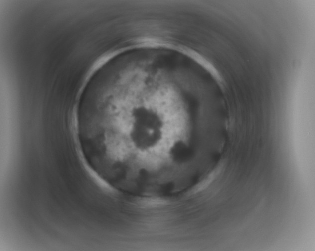 X0000113941239200910091616