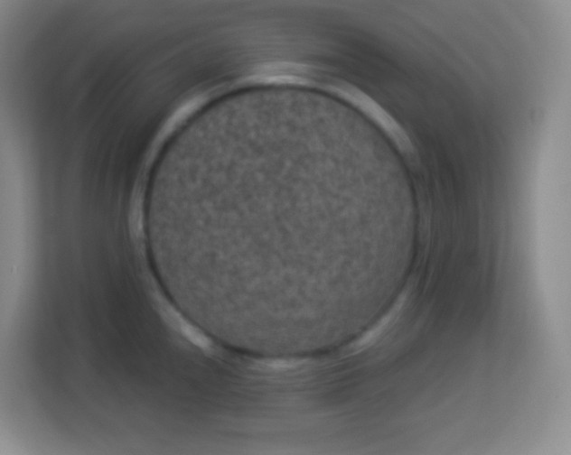 X0000113941240200910091616