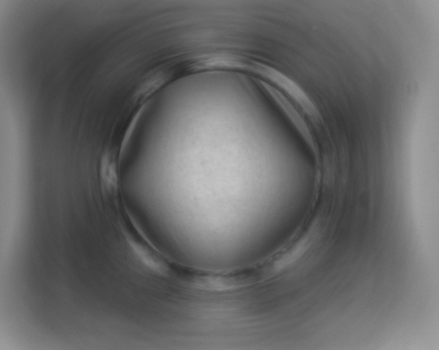 X0000113941241200910091616