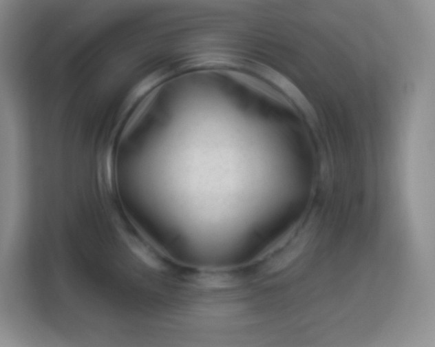 X0000113941242200910091616