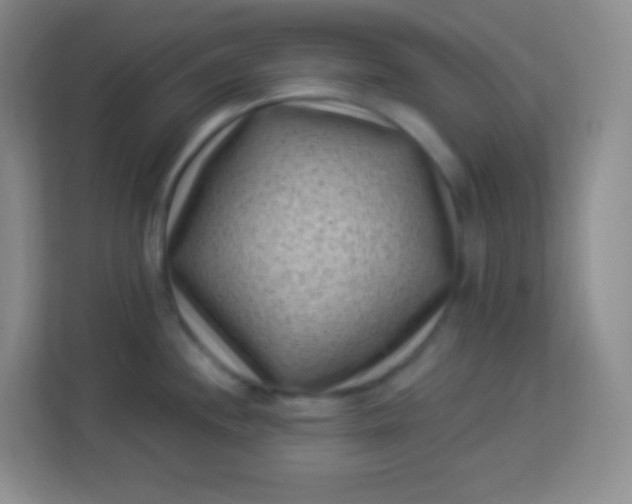 X0000113941244200910091616