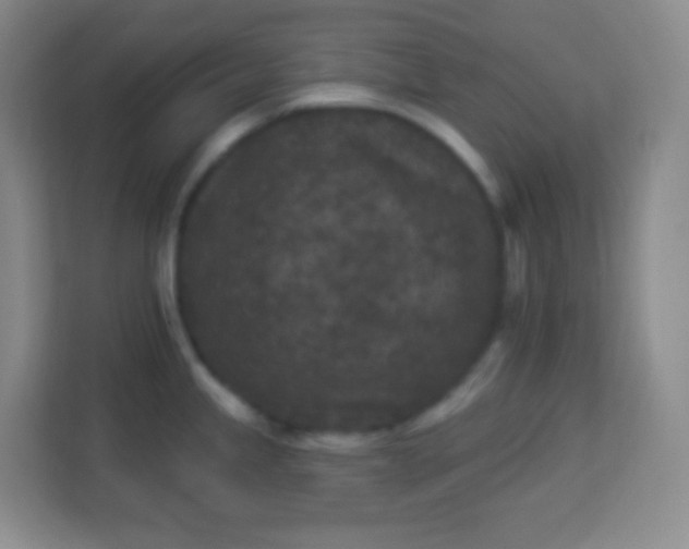 X0000113941245200910091616