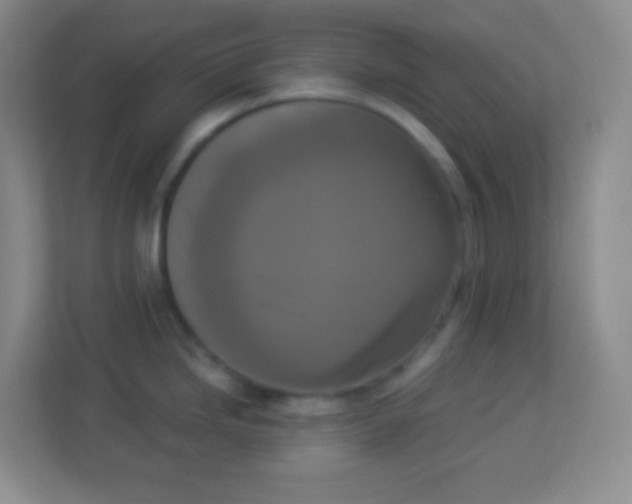 X0000113941246200910091616