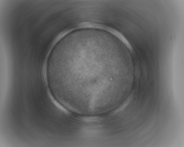 X0000113941247200910091616