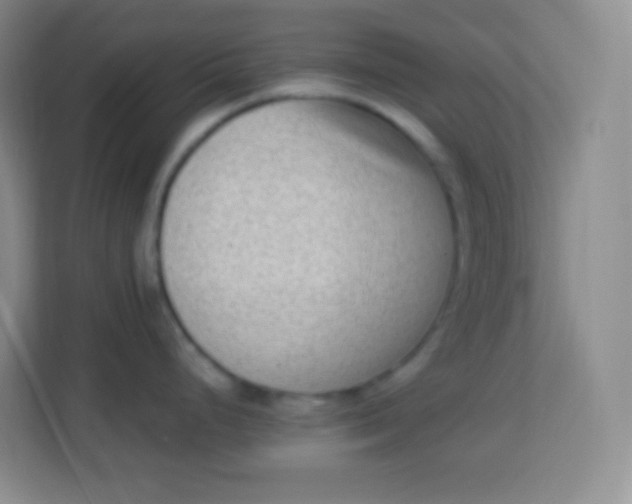 X0000113941248200910091616