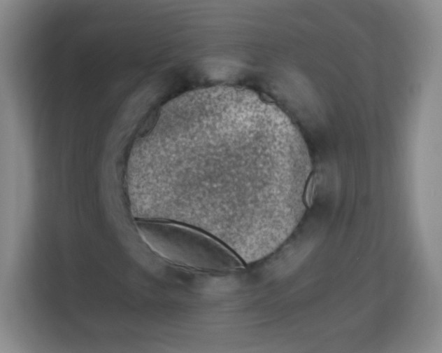 X0000113941249200910091616