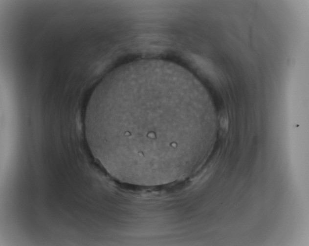 X0000113941252200910091616