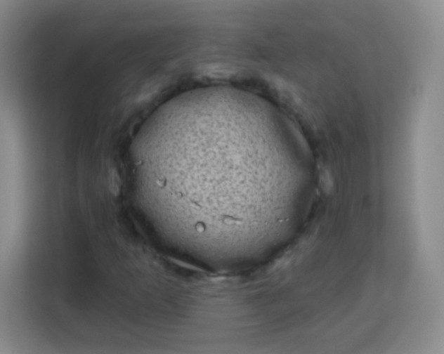 X0000113941253200910091616