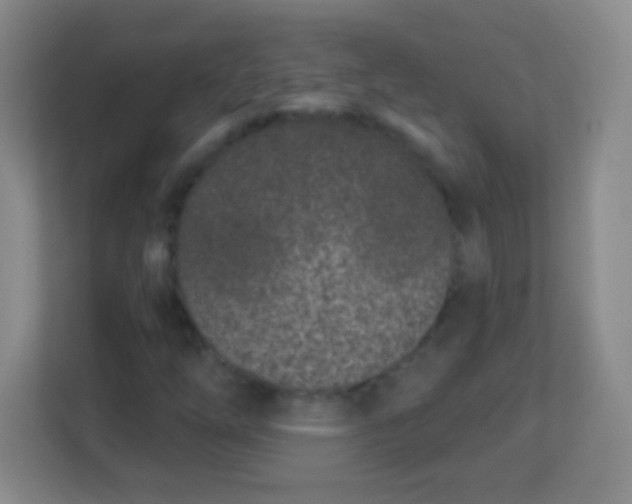 X0000113941254200910091616