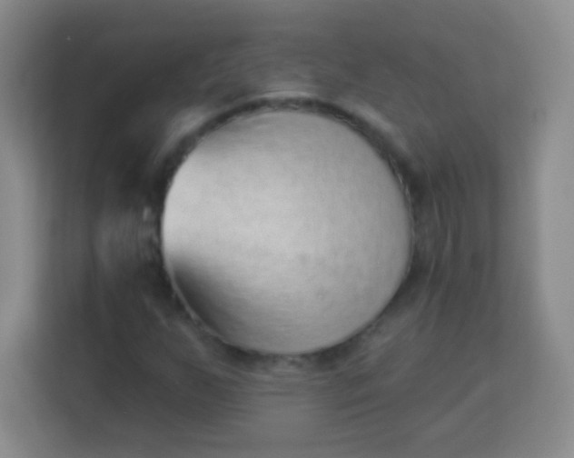 X0000113941255200910091616