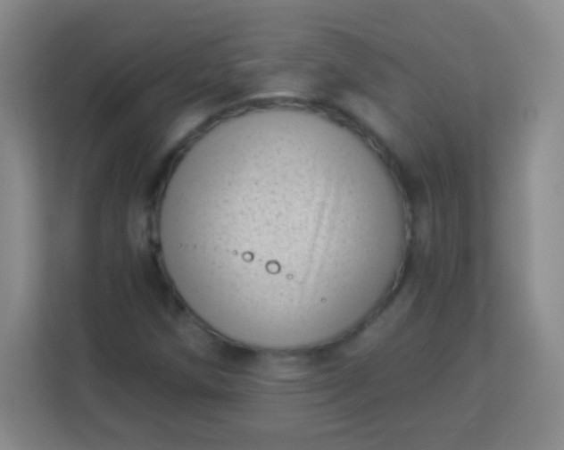 X0000113941258200910091616