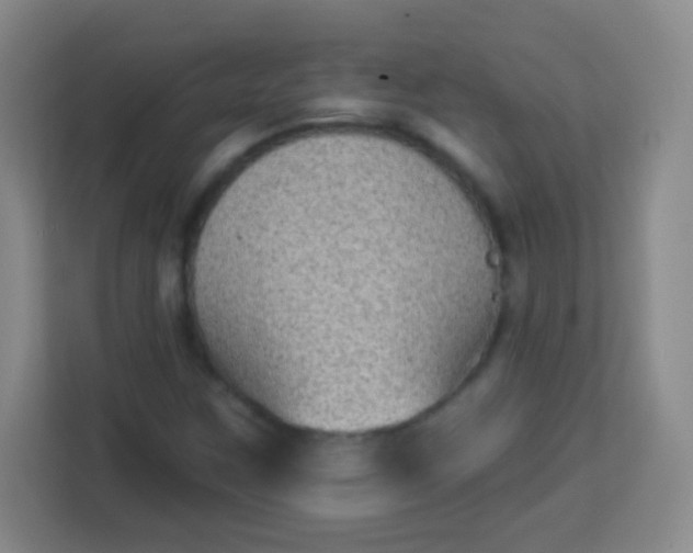 X0000113941259200910091615