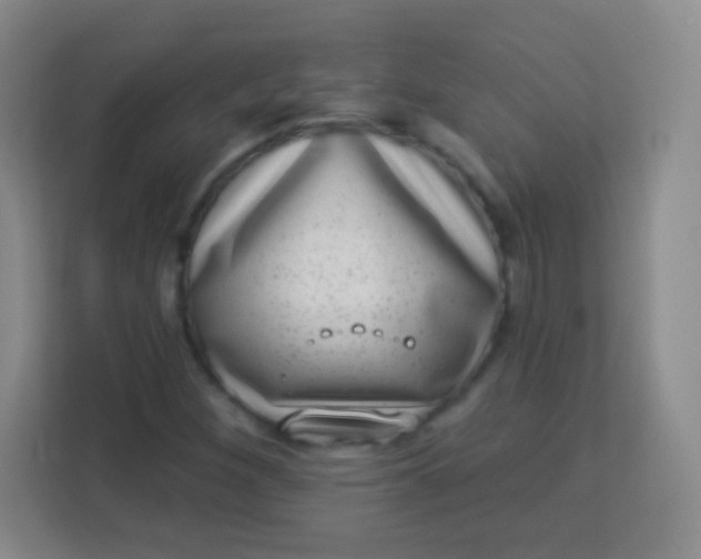 X0000113941260200910091615