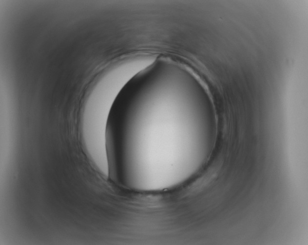 X0000113941261200910091615