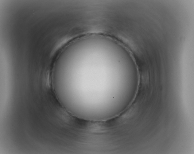 X0000113941262200910091615