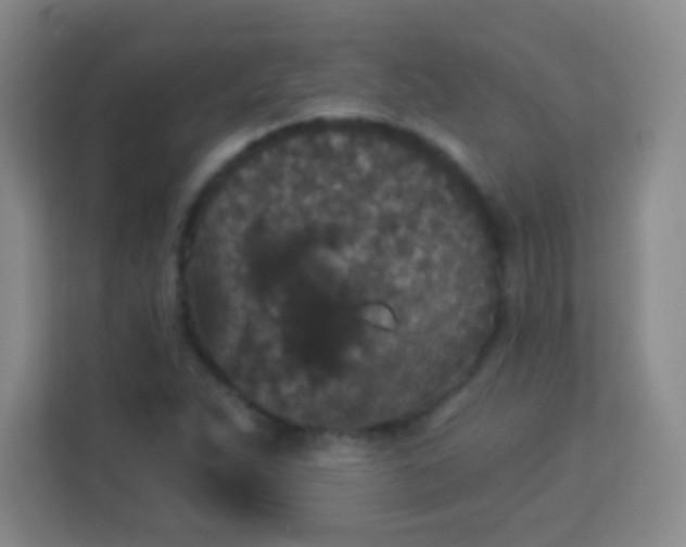 X0000113941263200910091615