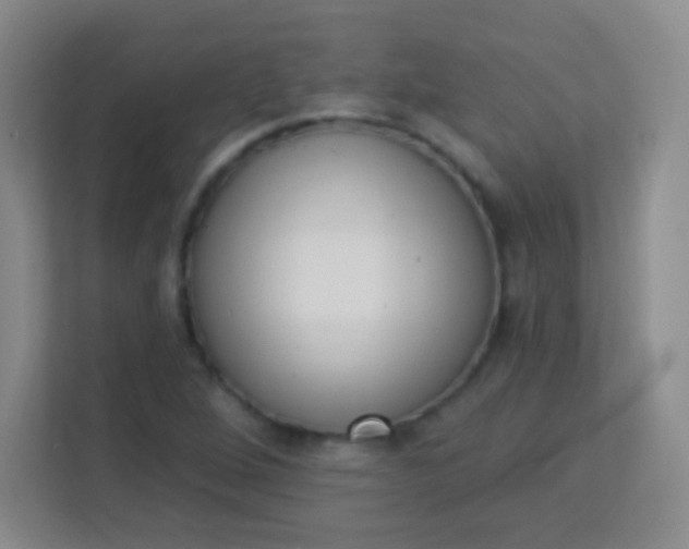 X0000113941264200910091615