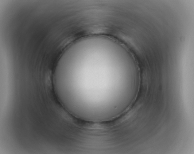 X0000113941265200910091615