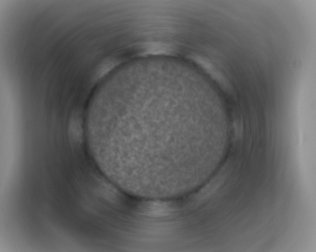 X0000113941266200910091615