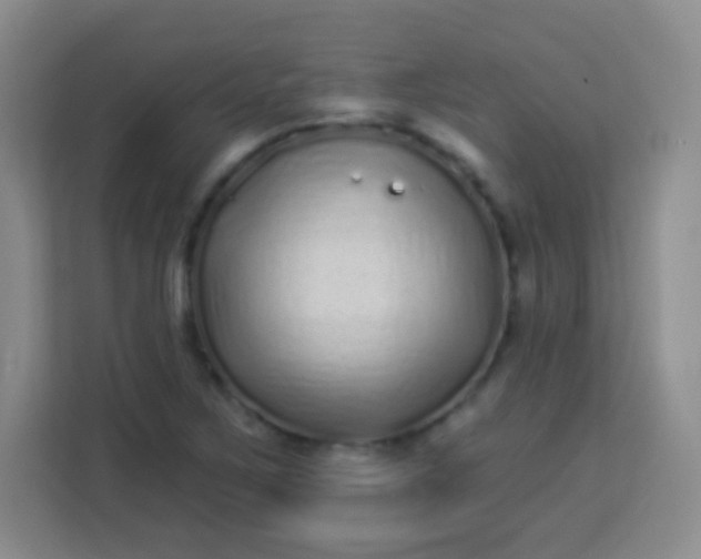 X0000113941267200910091615