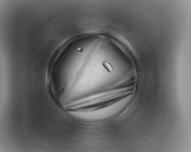 X0000113941269200910091615