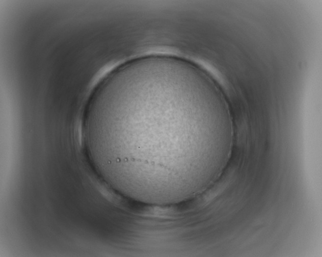 X0000113941271200910091615