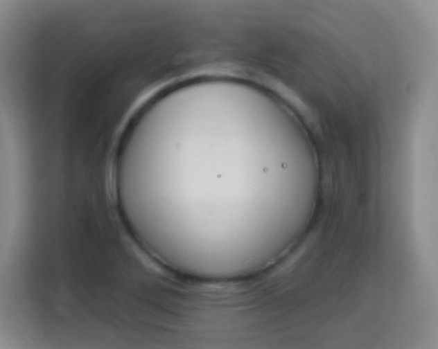 X0000113941272200910091615