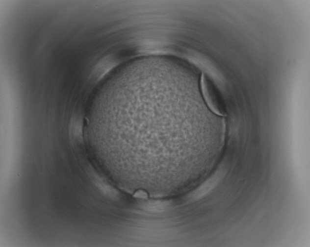 X0000113941273200910091615