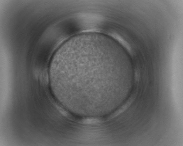 X0000113941274200910091615