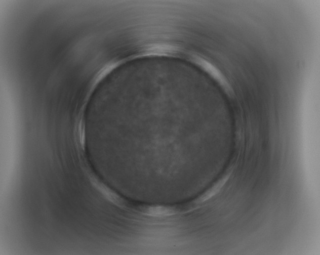 X0000113941275200910091615