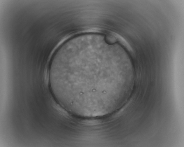 X0000113941276200910091615