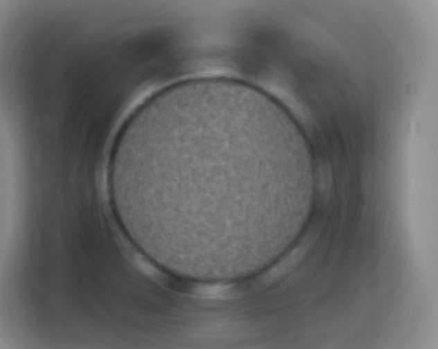 X0000113941278200910091615