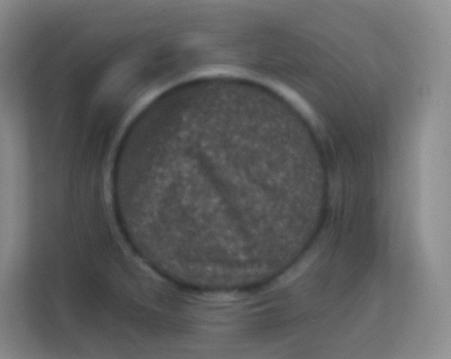 X0000113941279200910091615