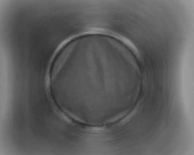 X0000113941280200910091615