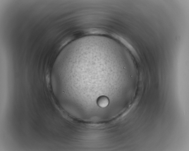 X0000113941281200910091615