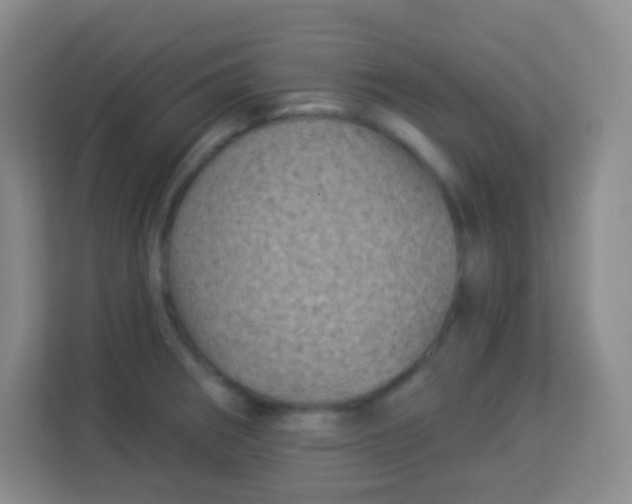 X0000113941282200910091615