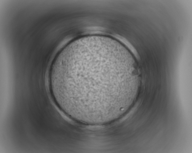 X0000113941285200910091615