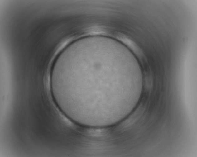 X0000113941286200910091615