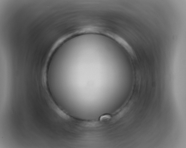 X0000113941288200910091615