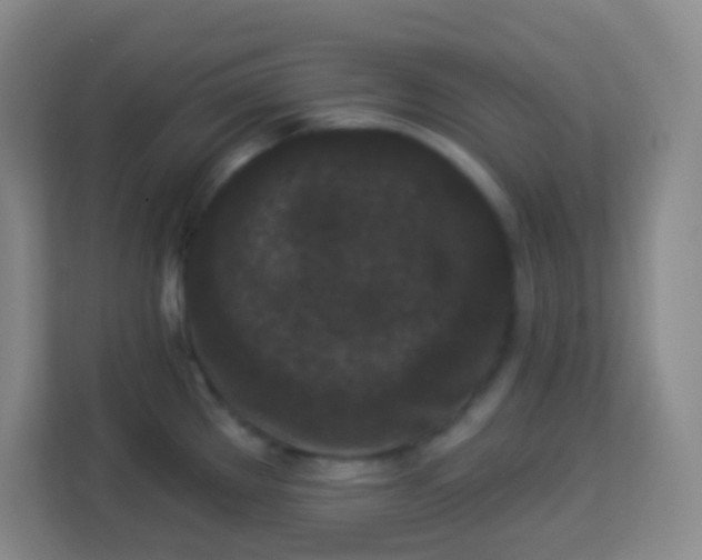 X0000113941289200910091615