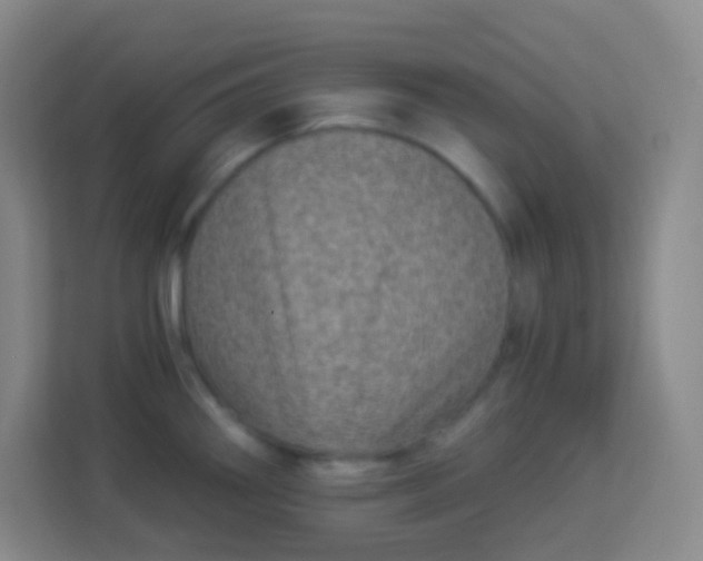 X0000113941290200910091615