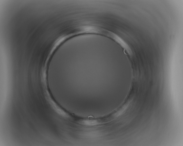 X0000113941291200910091615