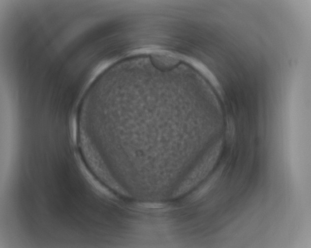 X0000113941295200910091615