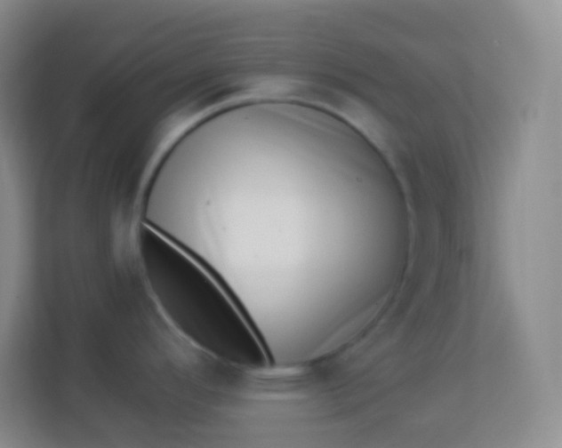 X0000113941296200910091615