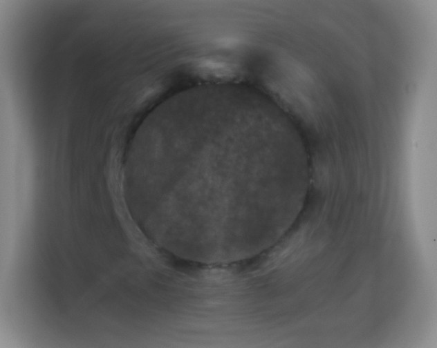 X0000113941297200910091614