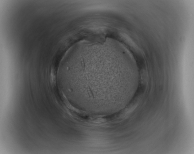 X0000113941298200910091614