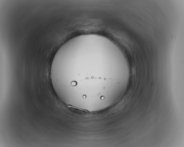 X0000113941300200910091614