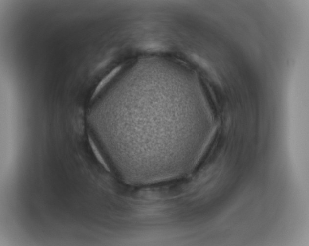 X0000113941301200910091614