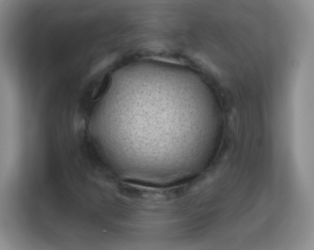 X0000113941302200910091614